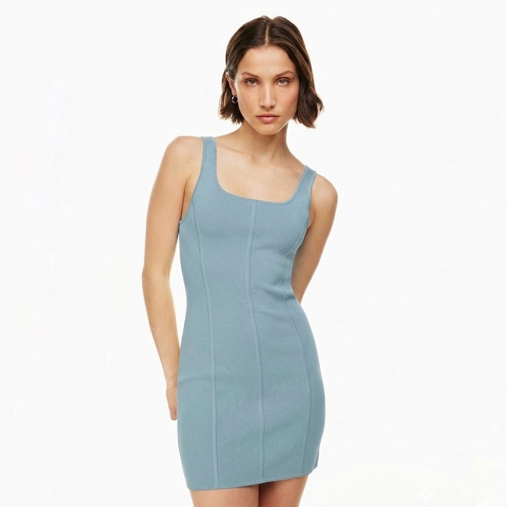 Aritzia | Babaton | Sculpt Knit Bustier Dress Size‎ M